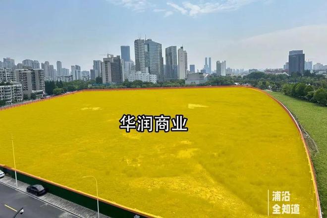 万象汇or万象天地？华润商业入局浦沿将带来15万㎡大商场……(图5)